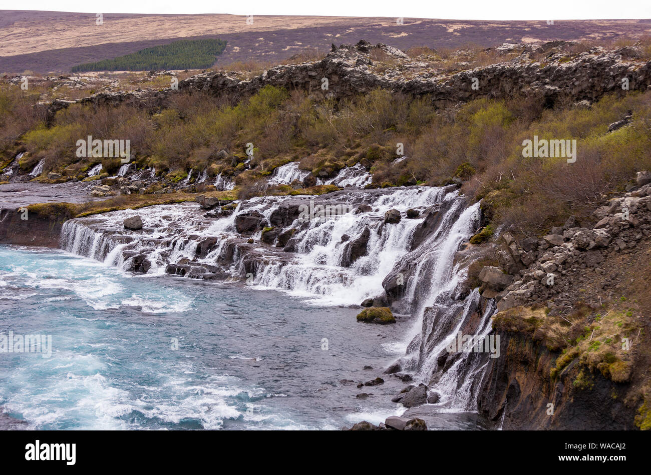 HUSAFELL, ISLANDE - cascade Hraunfossar, découlant de champ de lave. Banque D'Images