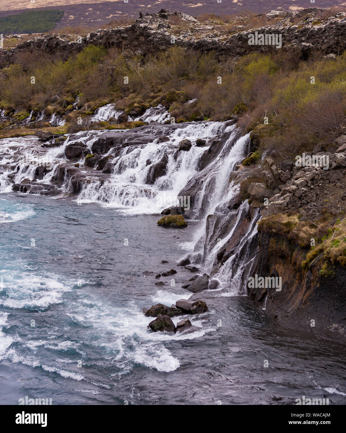 HUSAFELL, ISLANDE - cascade Hraunfossar, découlant de champ de lave. Banque D'Images