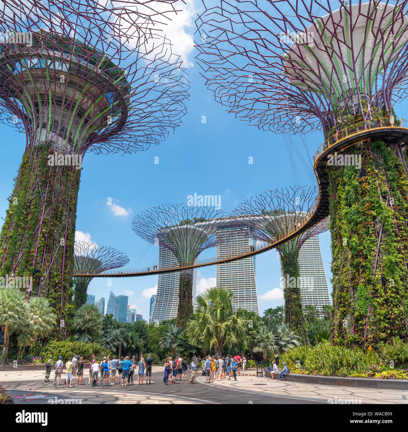 Supertree Grove dans les jardins de la baie avec Marina Bay Sands derrière, la ville de Singapour, Singapour Banque D'Images