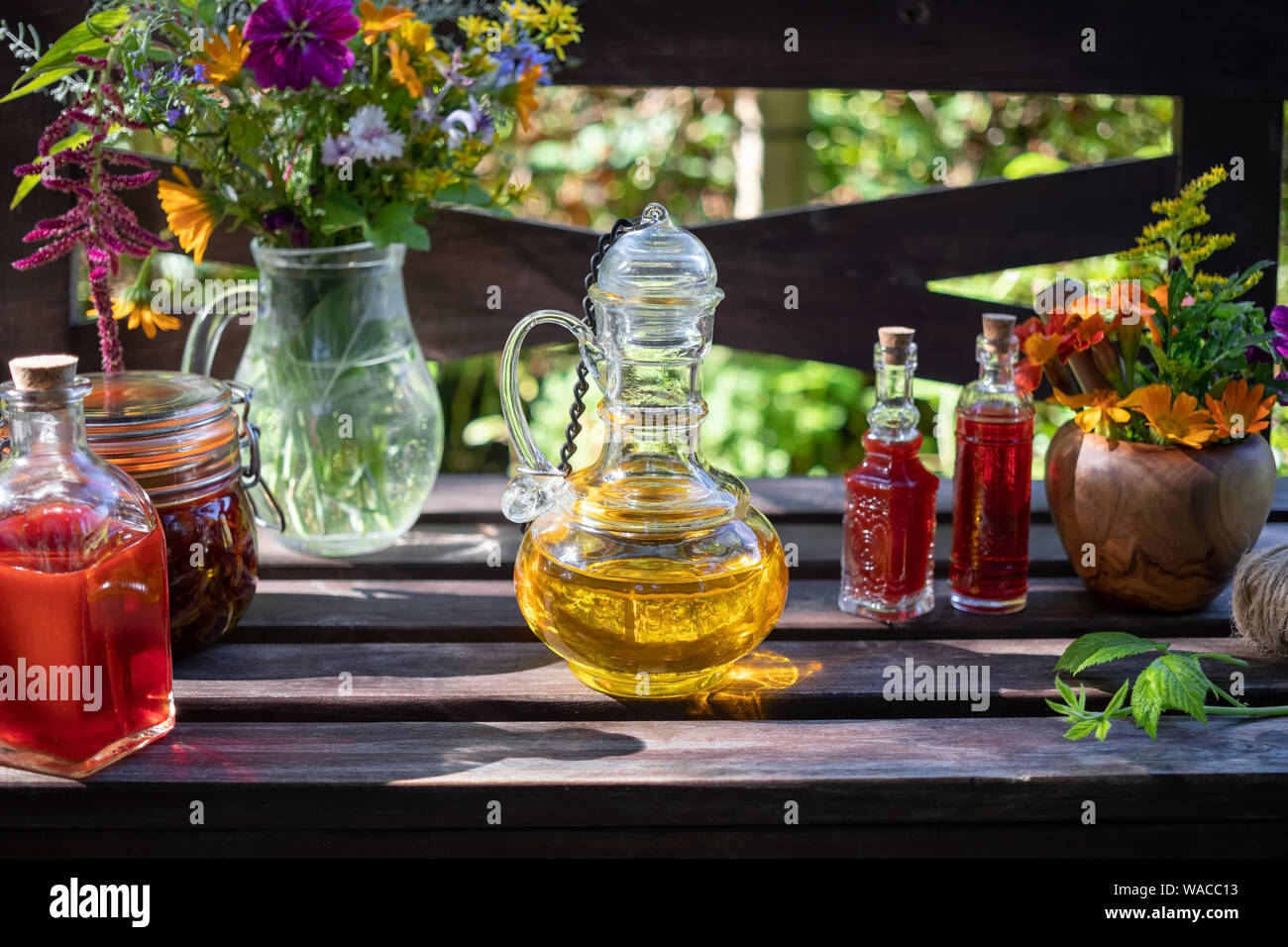 Bouteilles de la bourrache et l'huile de millepertuis, avec des herbes médicinales et des fleurs à l'arrière-plan Banque D'Images