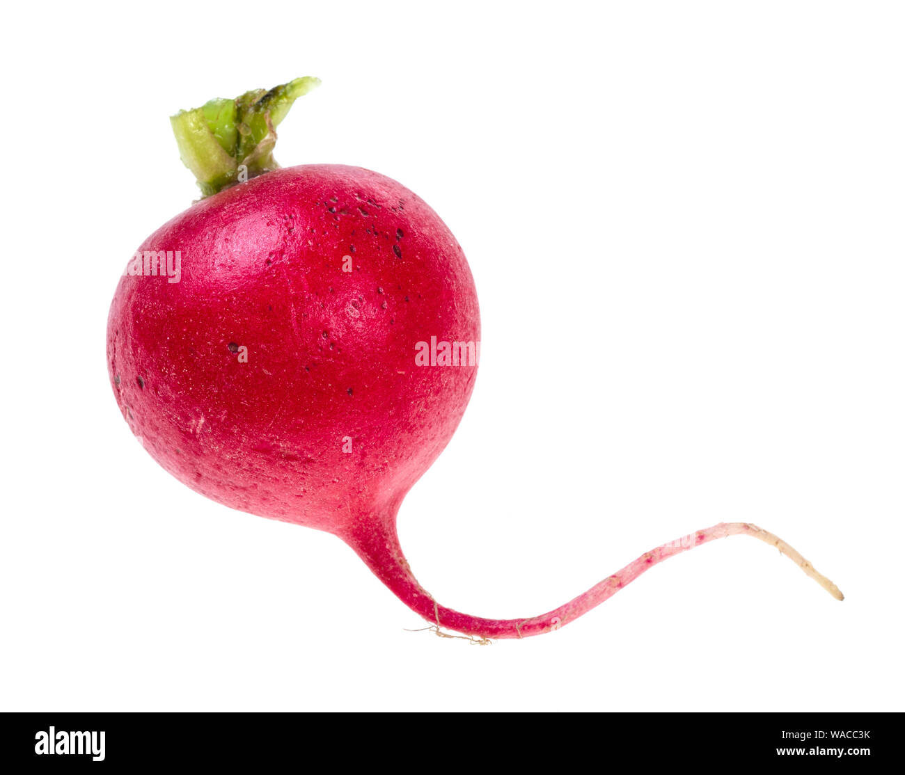 Produits frais bio radis rouge dentelle sur fond blanc Banque D'Images