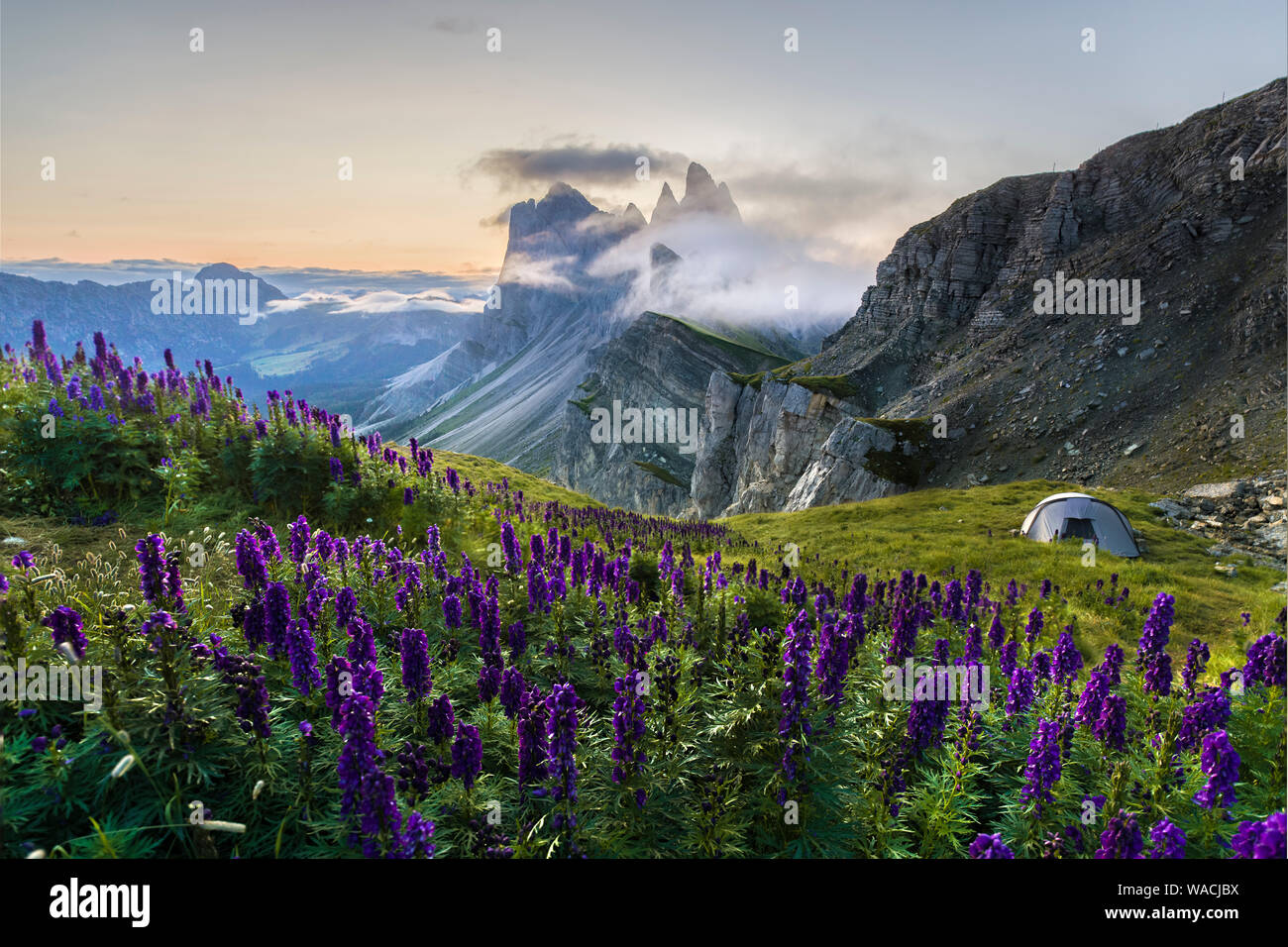 Tente en face de belles montagnes de Seceda robuste au lever du soleil dans le Tyrol du Sud, Italie Banque D'Images