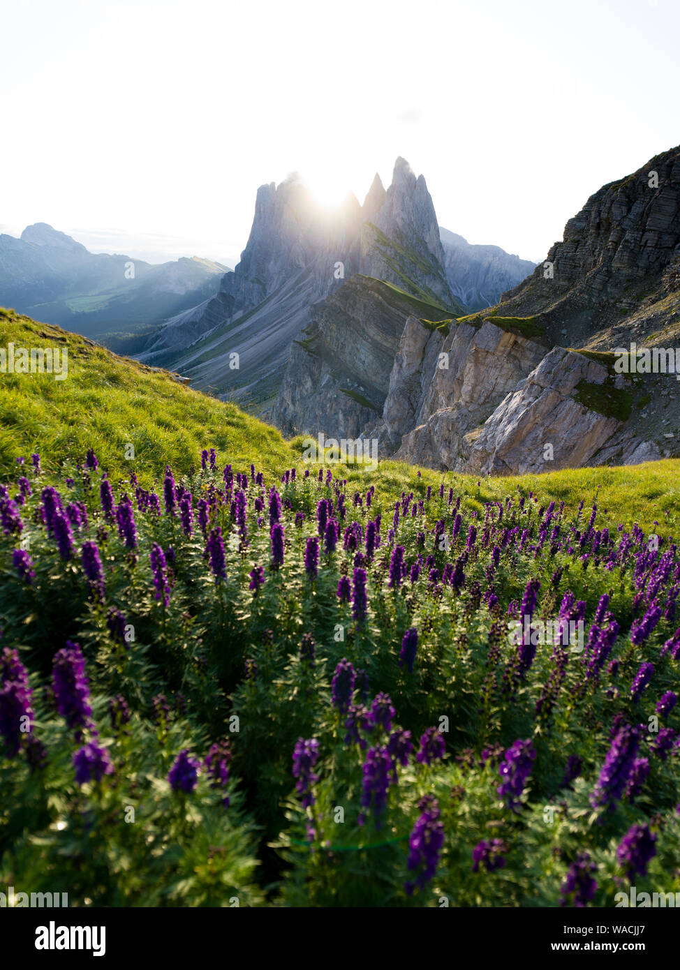 Belle gamme de montagne de Seceda robuste au lever du soleil dans le Tyrol du Sud, Italie Banque D'Images