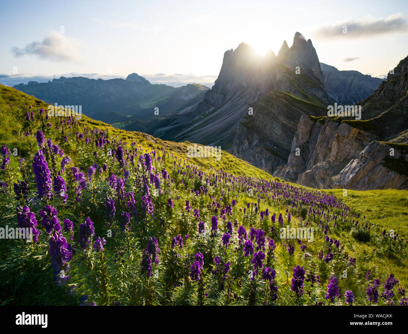 Belle gamme de montagne de Seceda robuste au lever du soleil dans le Tyrol du Sud, Italie Banque D'Images