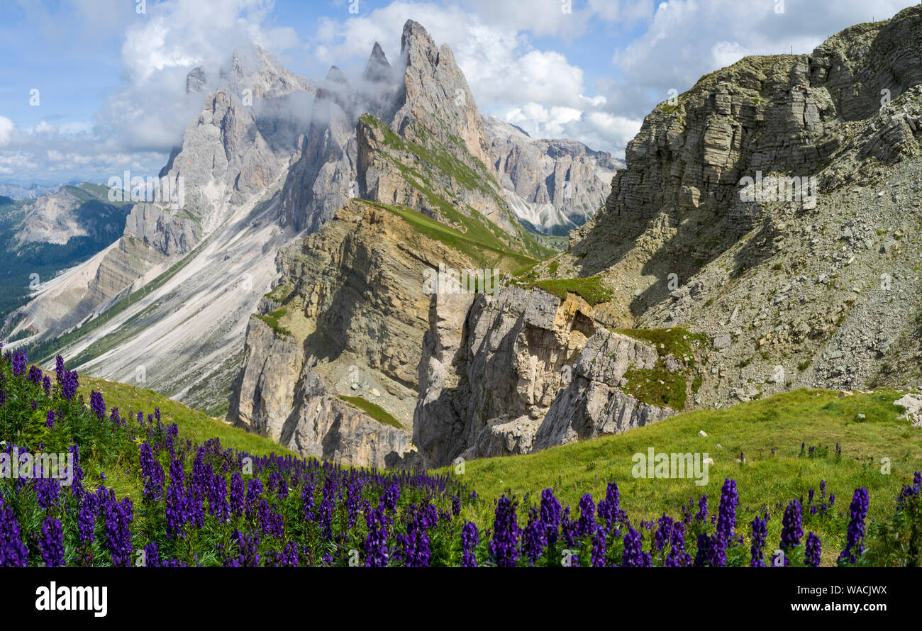 Panorama de Montagnes de Seceda, dans le Tyrol du Sud en partie couverte de nuages à sunny day Banque D'Images