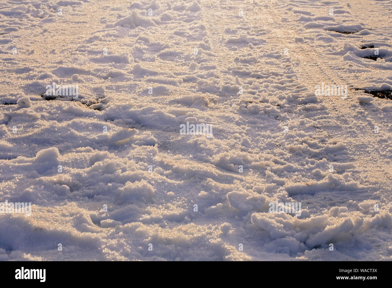 Champ couvert de neige avec traces de pied et à South Lake Tahoe, California, United States of America Banque D'Images