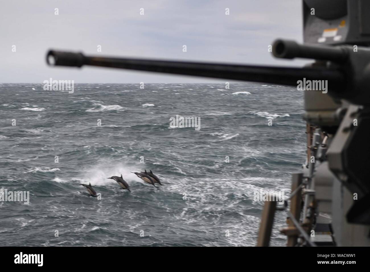 Aux côtés des dauphins USS Donald Cook (DDG-75) Banque D'Images