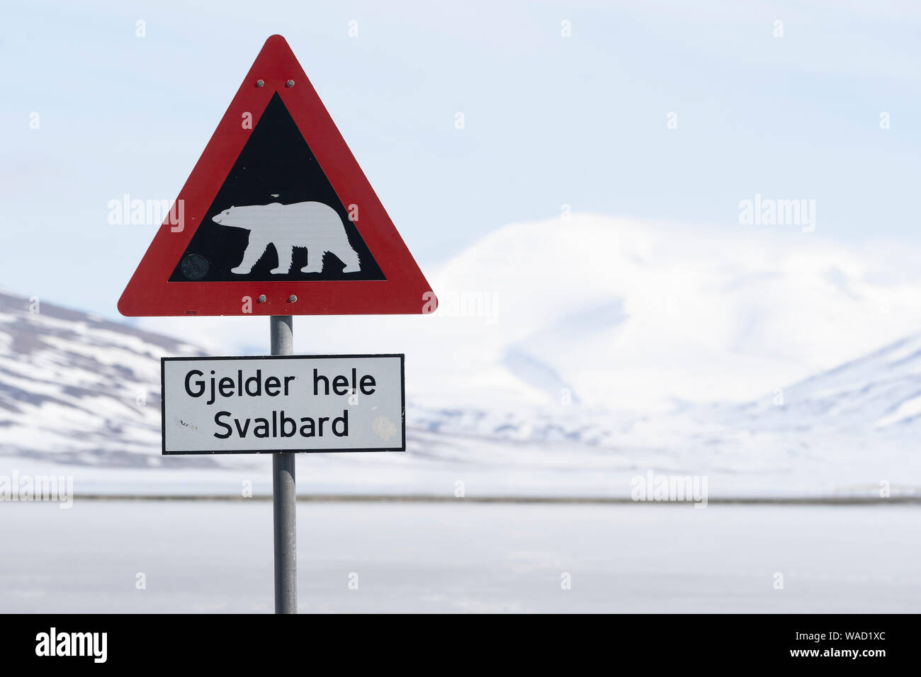 Panneau routier norvégien avec ours polaire Photo Stock - Alamy