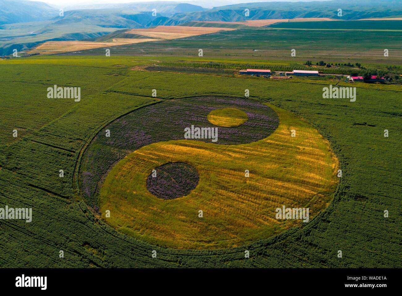 Vue aérienne de champs de blé avec forme de diagramme ou Bagua huit trigrammes dans le comté de Tekes, préfecture autonome Kazakh de SG, le nord-ouest de la Chine" Banque D'Images