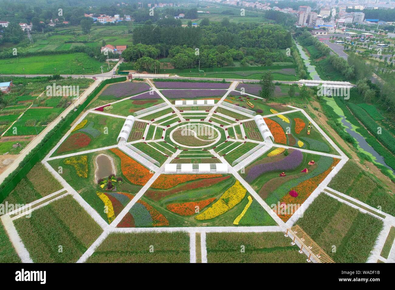 Vue aérienne de plantes colorées présentant la forme de schéma de bagua dans un endroit pittoresque dans la ville de Xiangfan, province de Hubei en Chine centrale, 17 juillet 2019. Banque D'Images