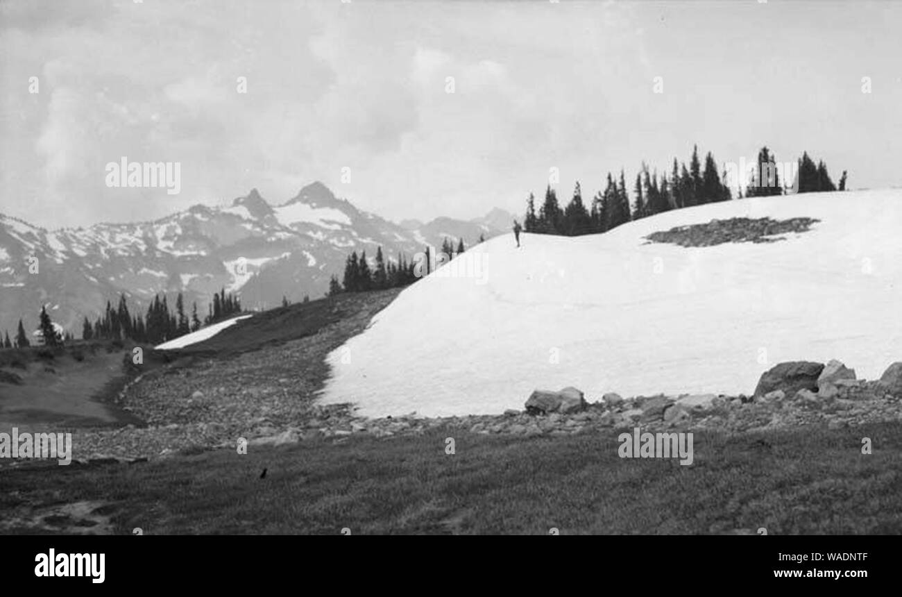 Snowdrift double à Stevens Ridge Mt Rainier Août 1911 WASTATE (2301). Banque D'Images