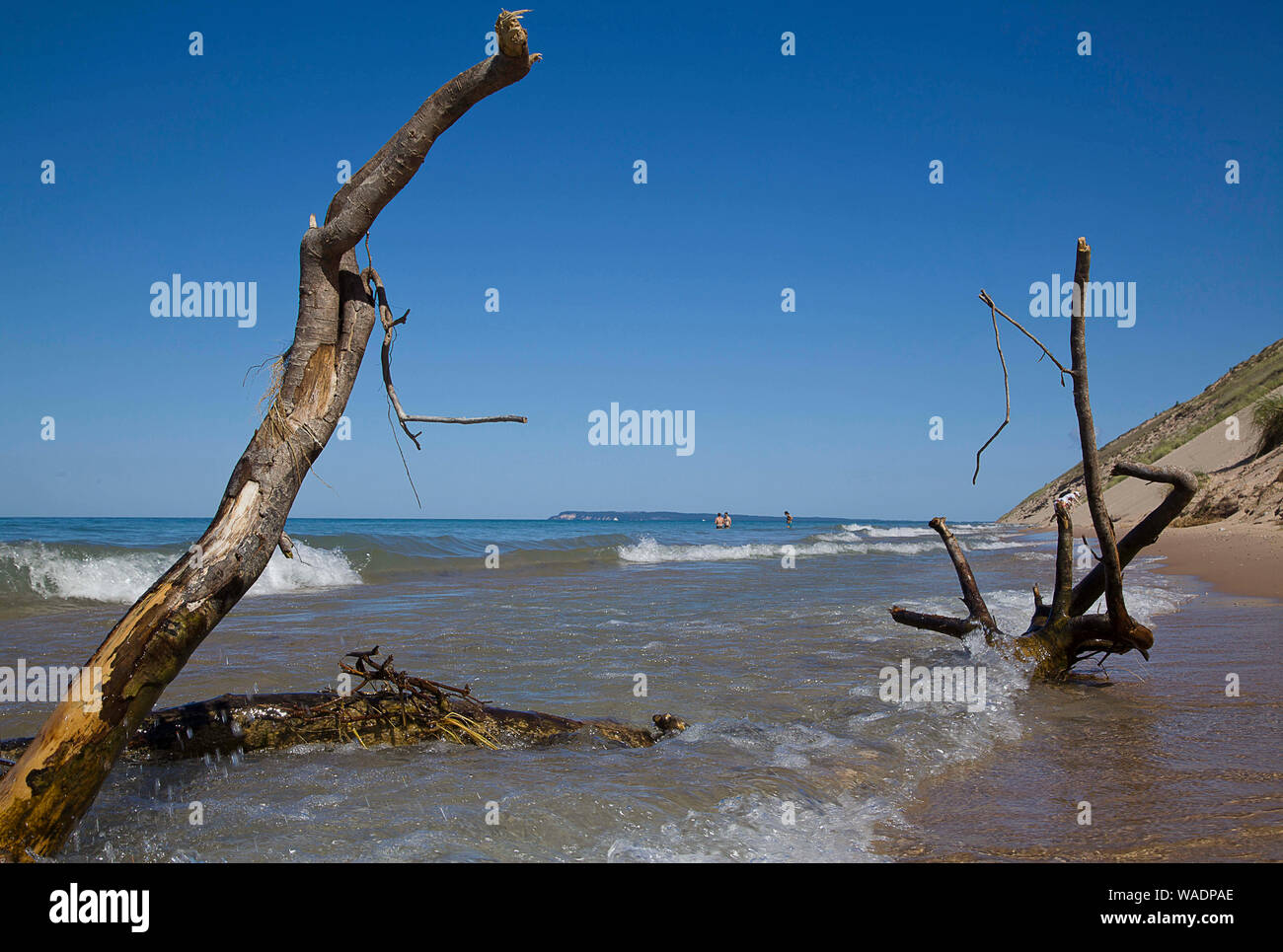 Empire, Michigan, USA. Août 19, 2019. Août 19, 2019, Empire, Michigan, United States ; Le Sleeping Bear Dunes National Lakeshore est situé dans la partie nord-ouest de la péninsule inférieure du Michigan. La rive est du lac Michigan a créé 400 pieds de hauteur des dunes de sable et des forêts denses, créé après la fonte des glaciers de la dernière époque glaciaire laissant la topographie diversifiée autour de l'Empire, au Michigan. Credit : Ralph Lauer/ZUMA/Alamy Fil Live News Banque D'Images