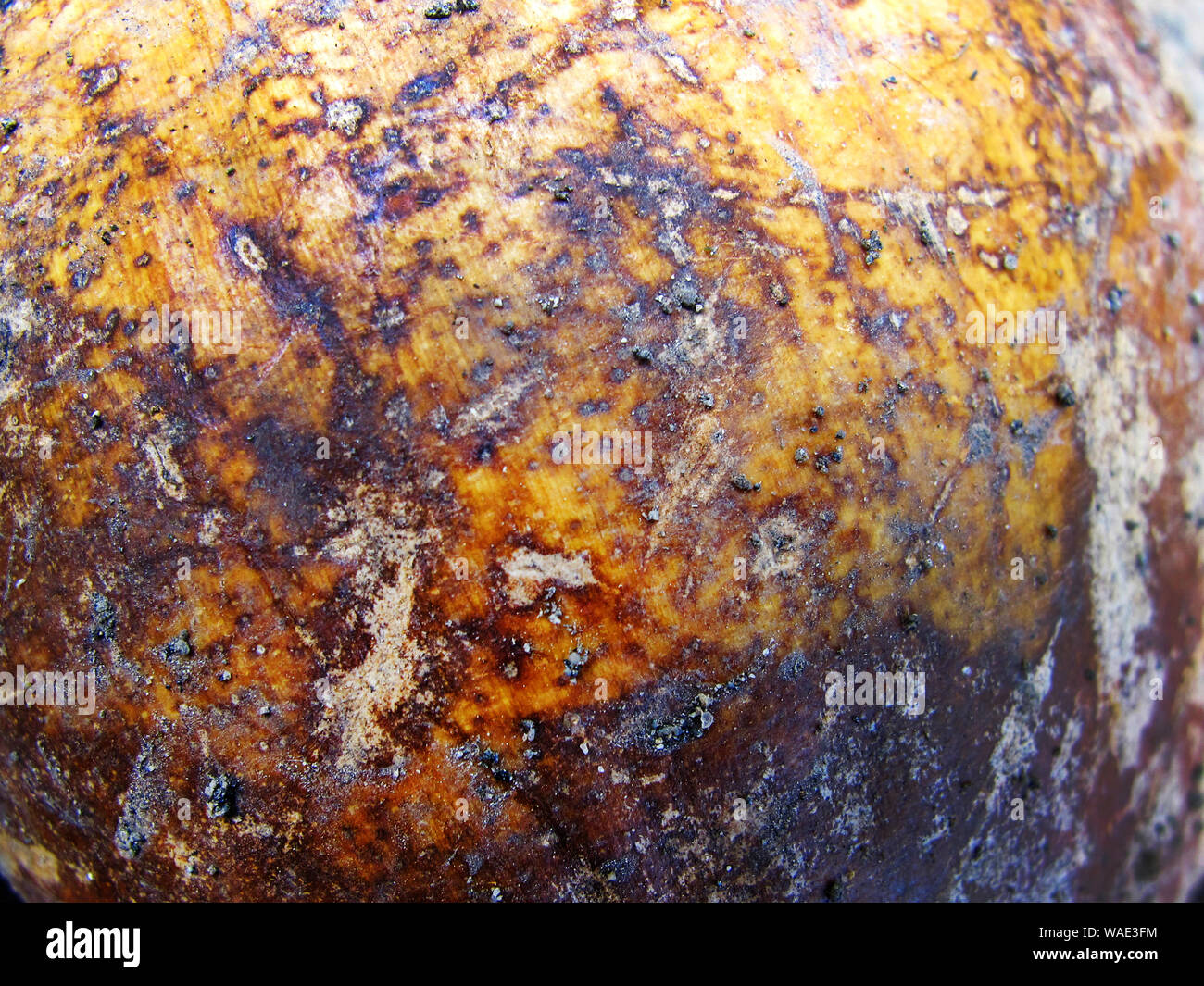 La texture de la cosse de la noix de coco ancien Banque D'Images