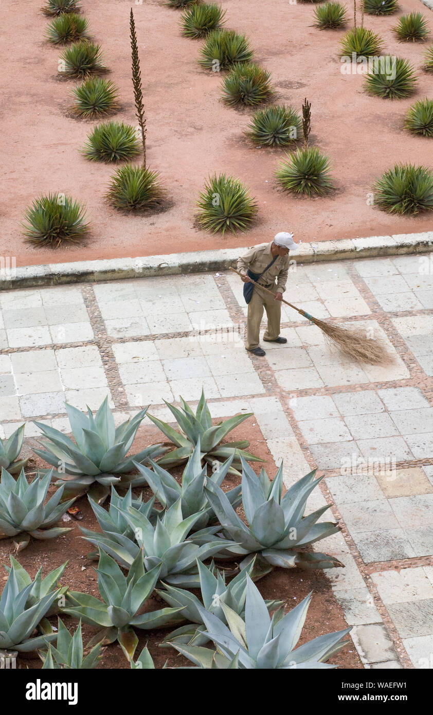 L'homme à l'aide d'un gardien mexicain stick broom balayant la cour de Iglesia de Santo Domingo, la Ville d'Oaxaca, Oaxaca, Mexique. Le travail manuel. Banque D'Images