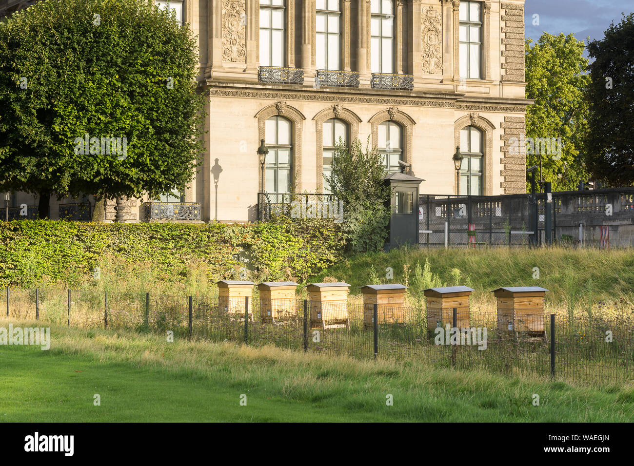 Paris - Six ruches ruches administré par le Musée du Louvre et appuyé par NUXE, installé dans le jardin des Tuileries à Paris, France, Europe. Banque D'Images