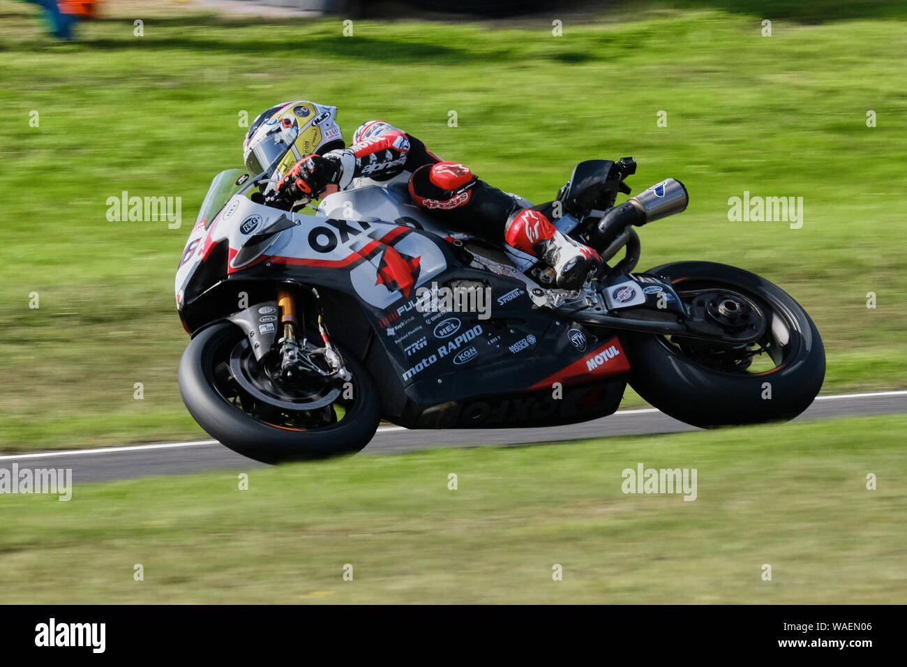 Tommy Bridewell, 2e dans la course 2, à bord de son Oxford Racing Ducati Panigale V4 R à Cadwell Park BSB 2019 Banque D'Images