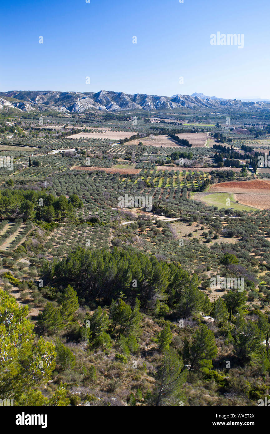 Vue sur les terres agricoles pour les chaines des Alpilles du Château des Baux le Parc naturel régional des Alpilles Bouches-du-Rhône Provence France Banque D'Images