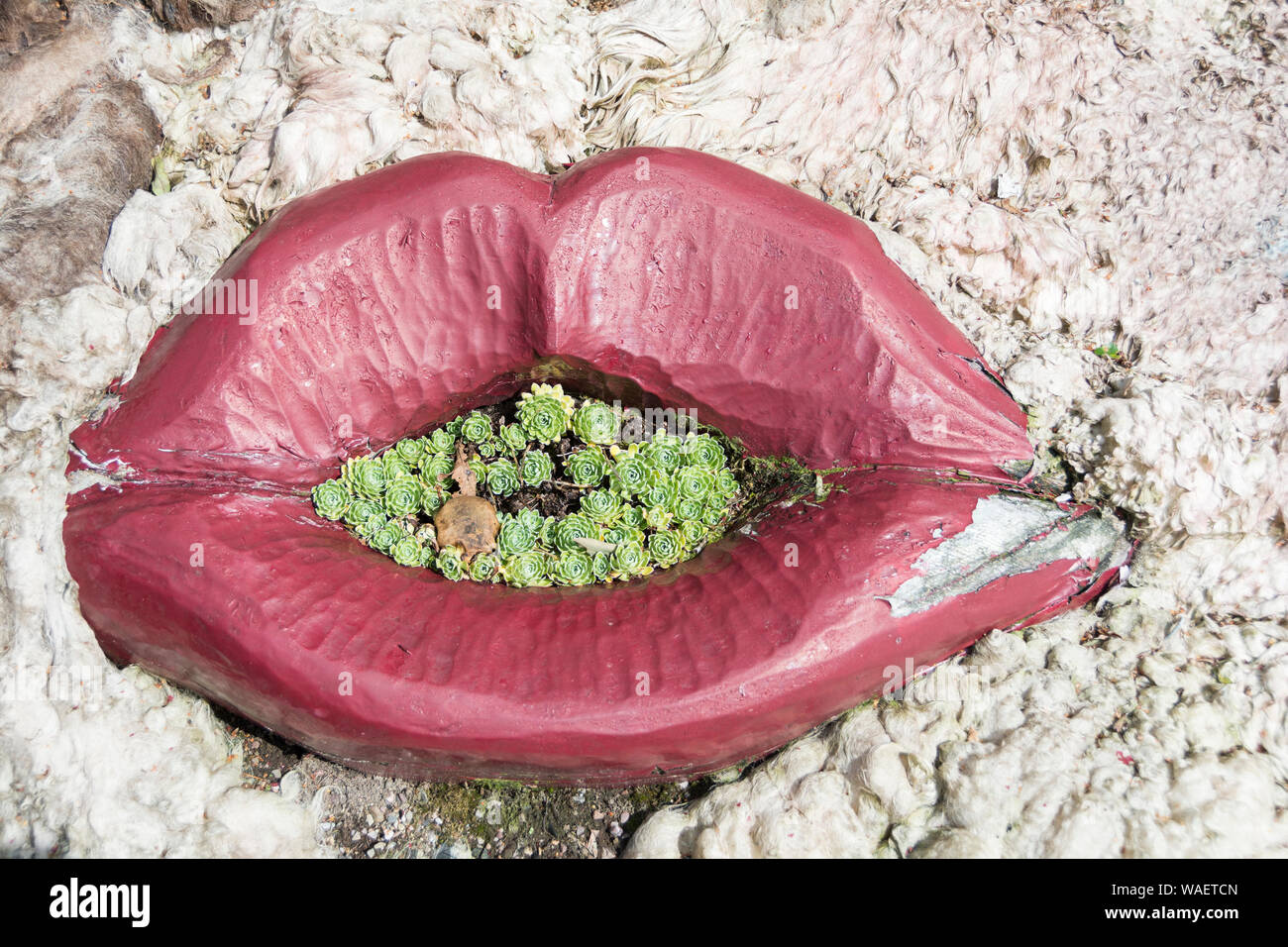 Lèvres de la luxure, une allégorie des sept péchés capitaux ; partie de l'Zig-Zaggy à Brantwood, conçu par John Ruskin Banque D'Images