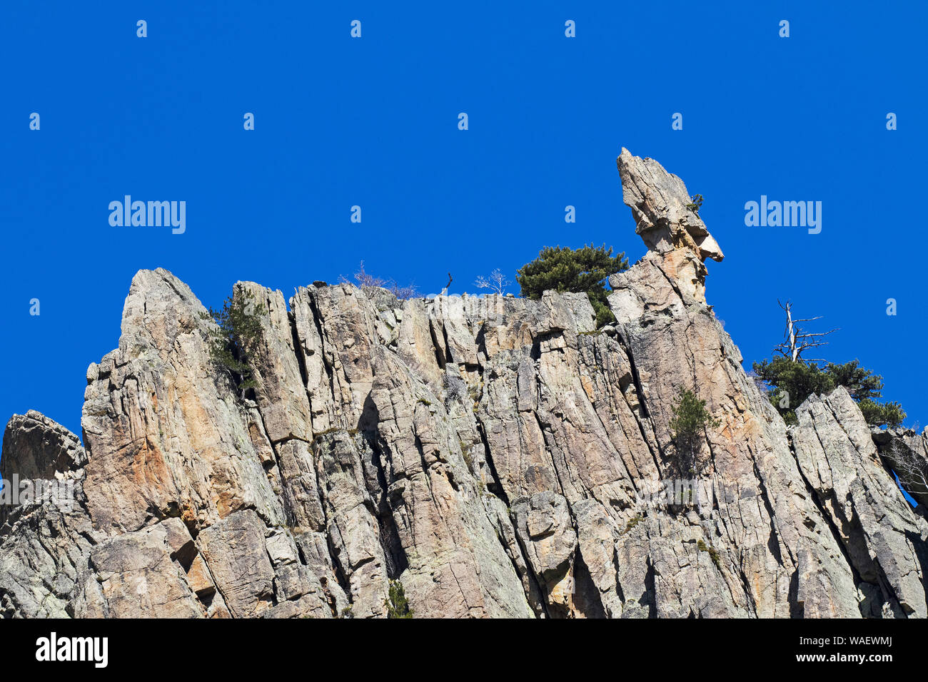 Montagnes dans la vallée de la Restonica près de Corte Corse France Mai 2016 Banque D'Images