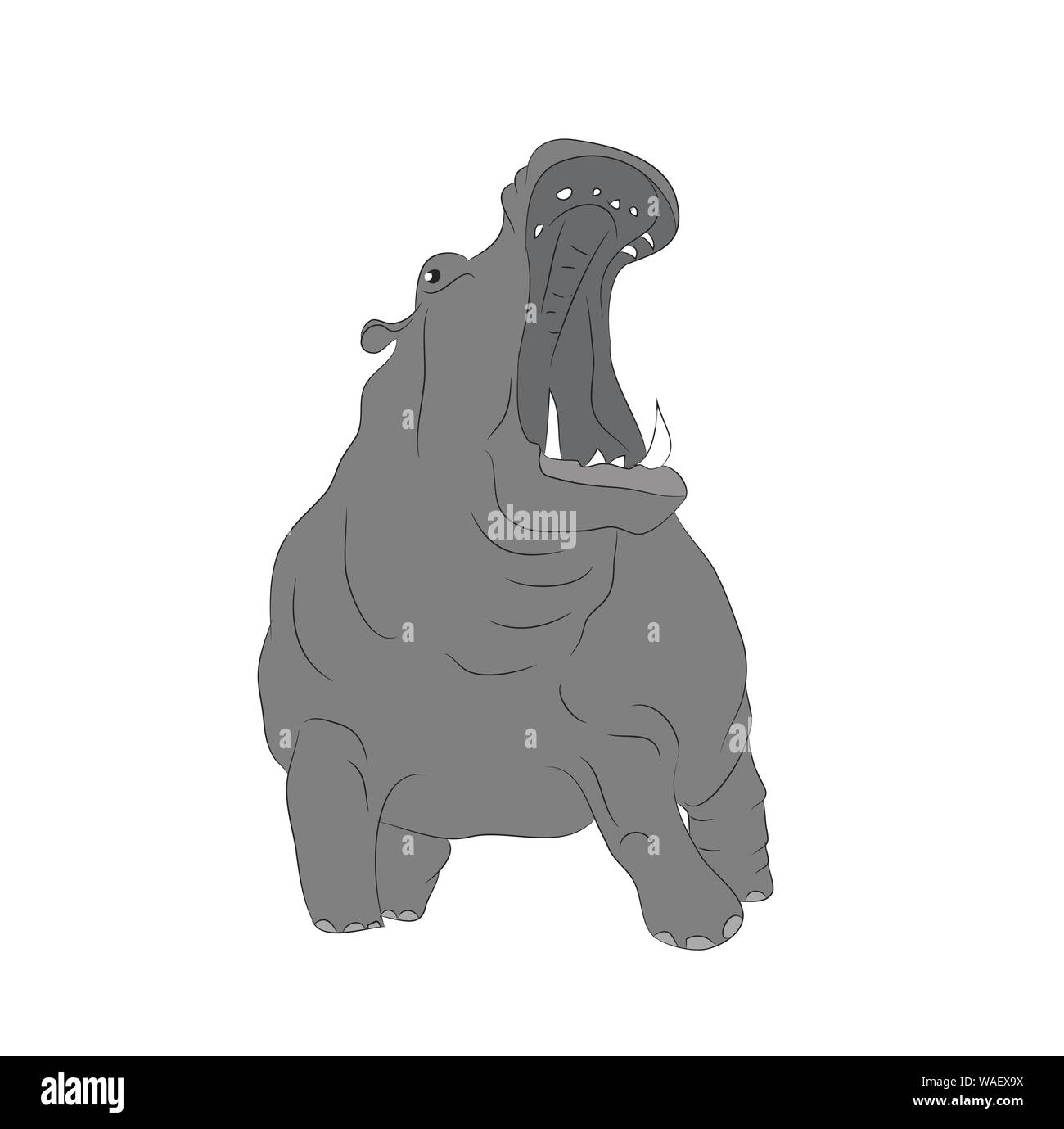 Les peuplements d'hippopotame couleur du dessin, vecteur, fond blanc Illustration de Vecteur