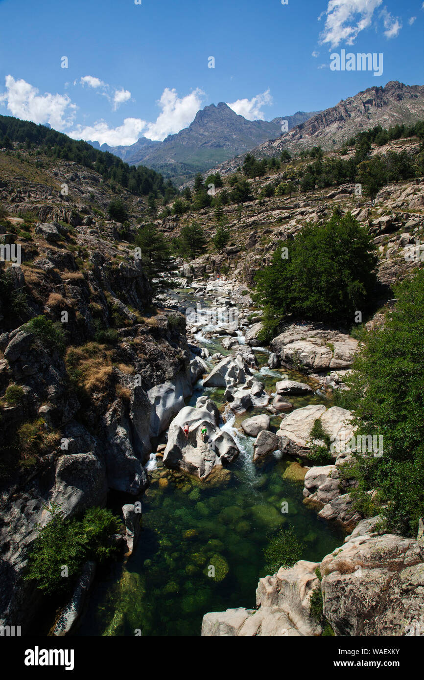 La rivière Golo, Scala di Santa Regina et montagnes, Parc Naturel Régional de Corse, France, juillet 2018 Banque D'Images