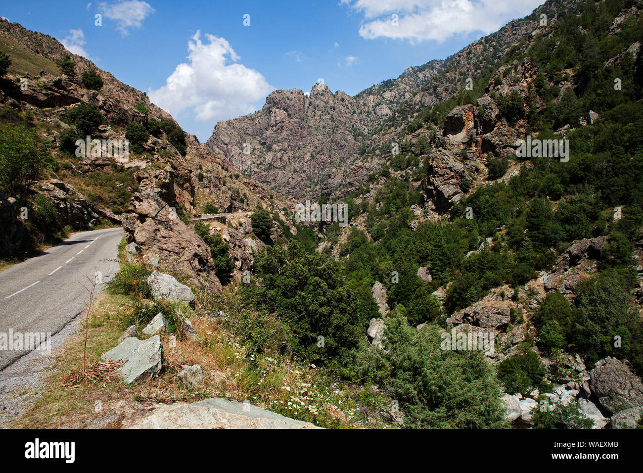 Scala di Santa Regina gorges et montagnes, Parc Naturel Régional de Corse, France, juillet 2018 Banque D'Images