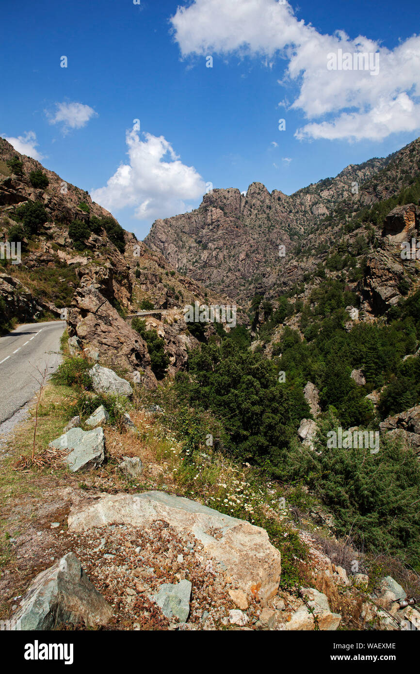 Scala di Santa Regina gorges et montagnes, Parc Naturel Régional de Corse, France, juillet 2018 Banque D'Images