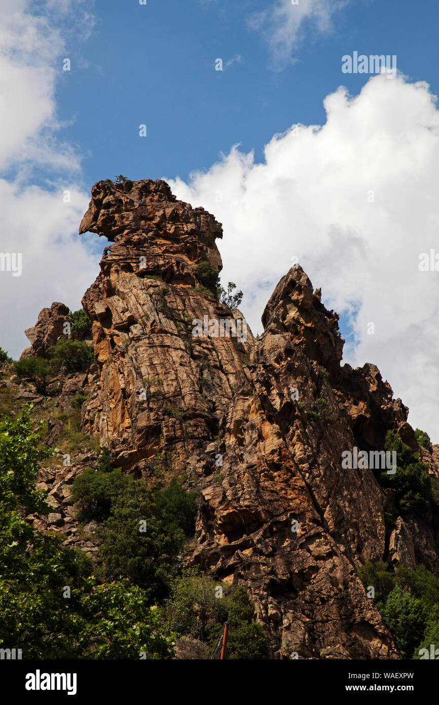 Pilier de granit dans la Scala di Santa Regina, Parc Naturel Régional de Corse, France, juillet 2018 Banque D'Images