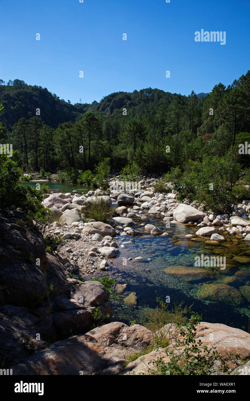 Rivière Solenzara, Parc Naturel Régional de Corse, France, juillet 2018 Banque D'Images