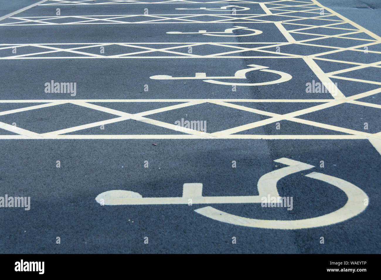 Gros plan du Badge Bleu symbole du fauteuil roulant et les personnes handicapées la signalisation de stationnement dans un parking bay Banque D'Images