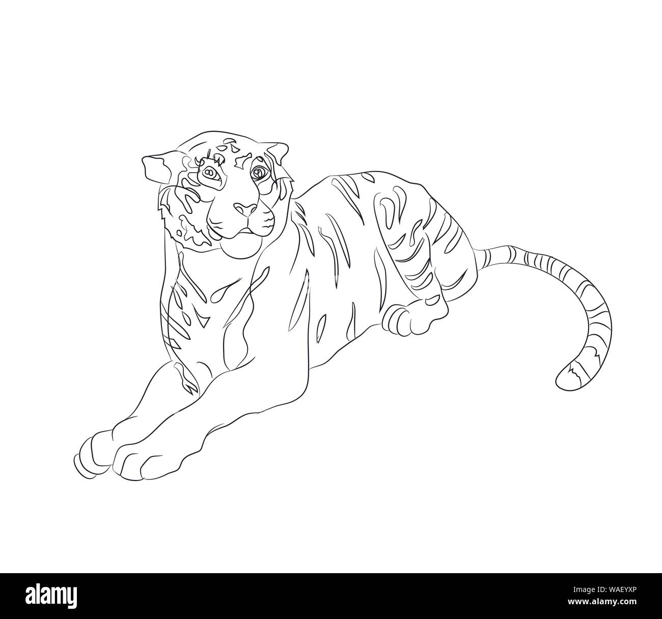 Vector illustration d'un tigre qui se trouve, dessin de lignes, vecteur, fond blanc Illustration de Vecteur