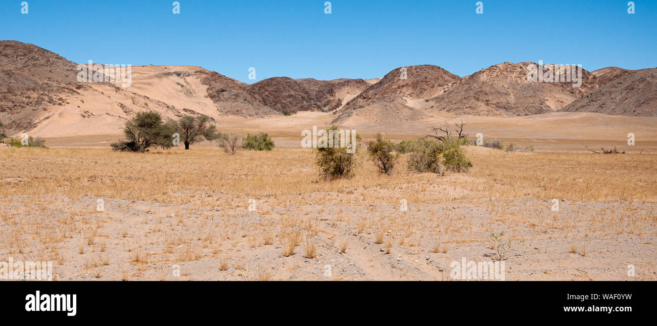 Les paysages arides du Damaraland, Namibie Banque D'Images