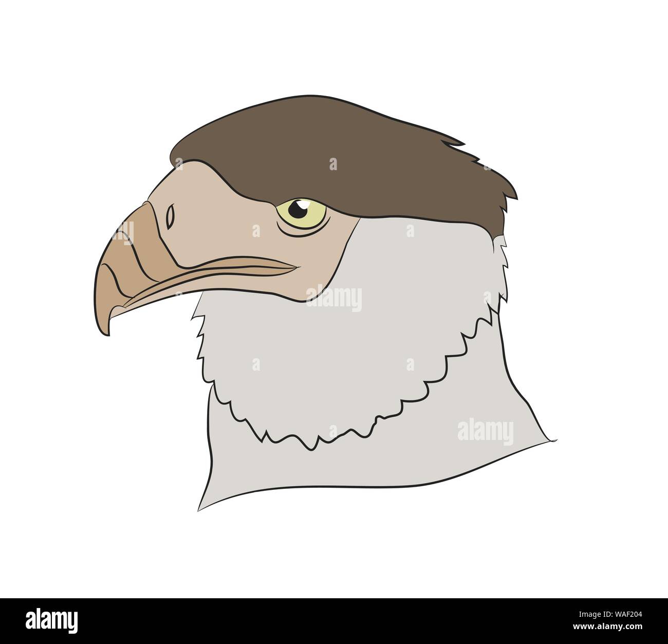 Vector illustration d'un portrait d'un aigle, un dessin en couleur, fond blanc Illustration de Vecteur