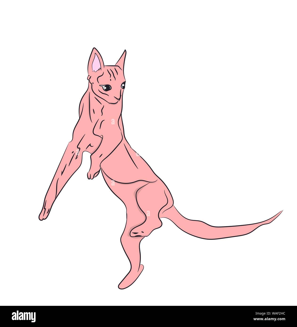 Couleur cat, vecteur, fond blanc Illustration de Vecteur