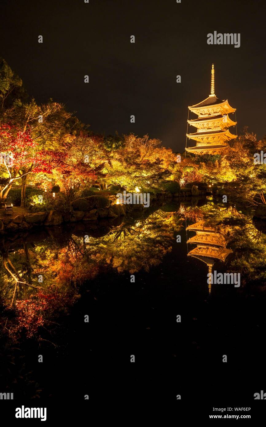 Pagode à Cinq étages du temple Toji, illuminé la nuit pour la coloration du feuillage d'automne, Kyoto, Japon Banque D'Images