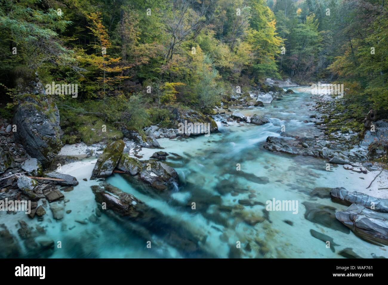 Cours de la rivière Soca, ruisseau de montagne Bovec, Slovénie Banque D'Images