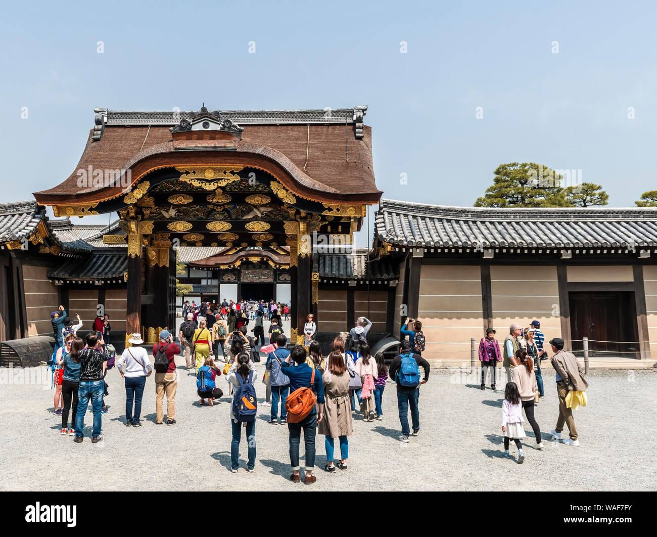 Ninomaru Gate, château de Nijo, ancien château du shogunat, Kyoto, Japon Banque D'Images