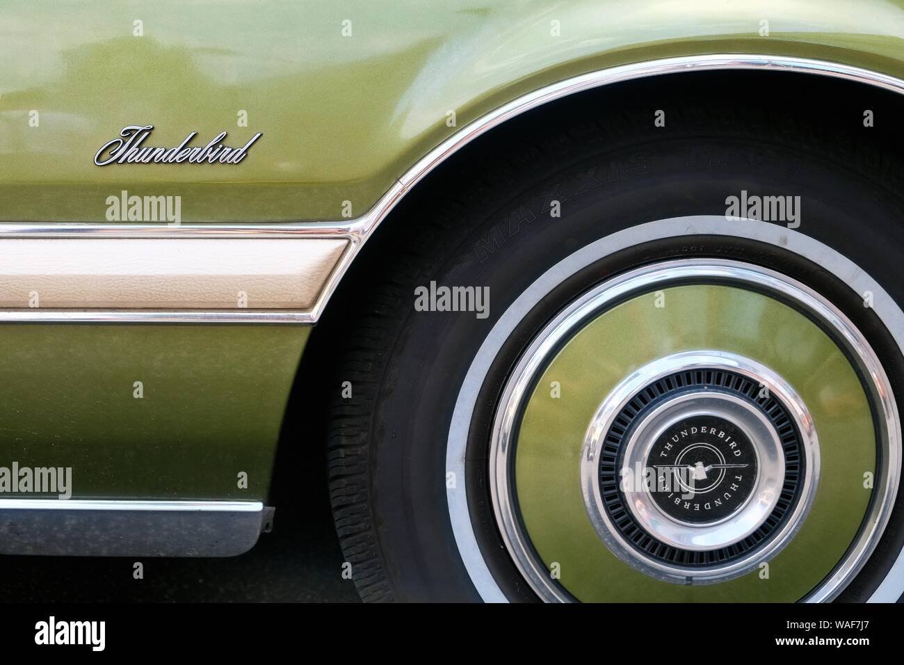 Détail d'une Ford Thunderbird, Oldtimer Festival golden oldies, Krofdorf-Gleiberg, Hesse, Allemagne Banque D'Images