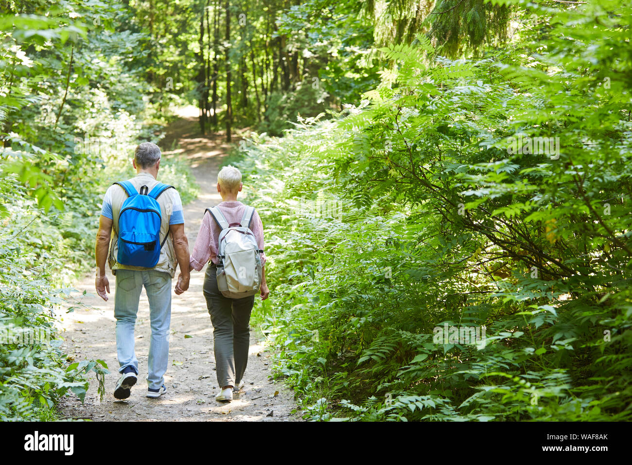 Vue arrière du couple avec des sacs à dos se tenant la main et marcher dans la nature dans la forêt ils ont voyage aventure Banque D'Images