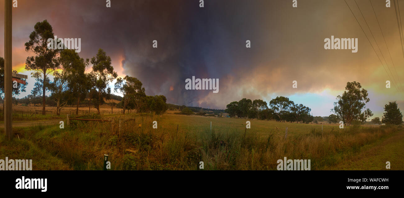 Bush de feu, de fumée et d'herbe, de gravure en Tynong, Victoria, Australie Banque D'Images