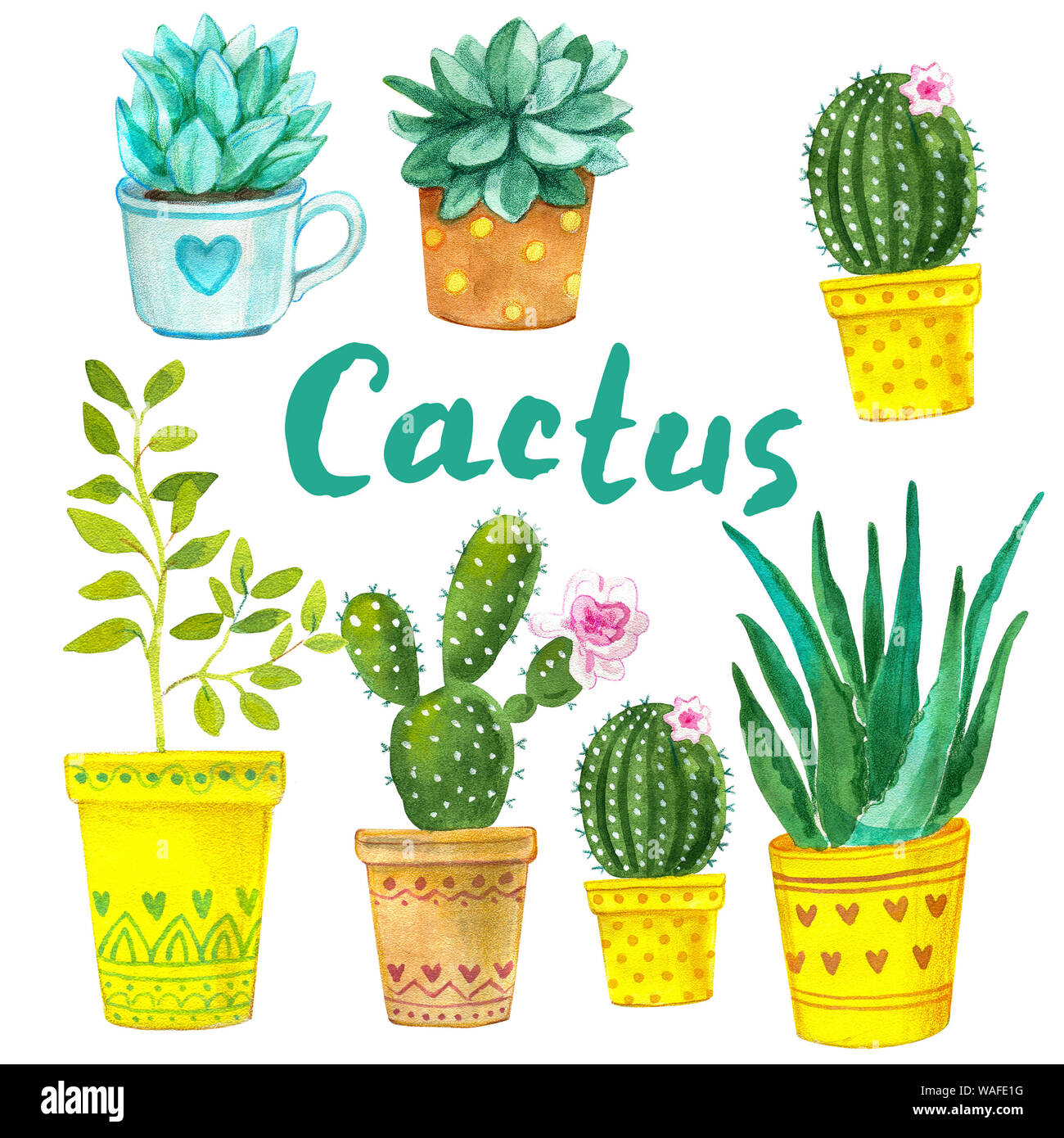 Cactus et succulentes à l'aquarelle. Pour les cartes de vœux illustration Raster, invitations, et d'autres projets d'impression sur fond blanc.La haute résolution Banque D'Images