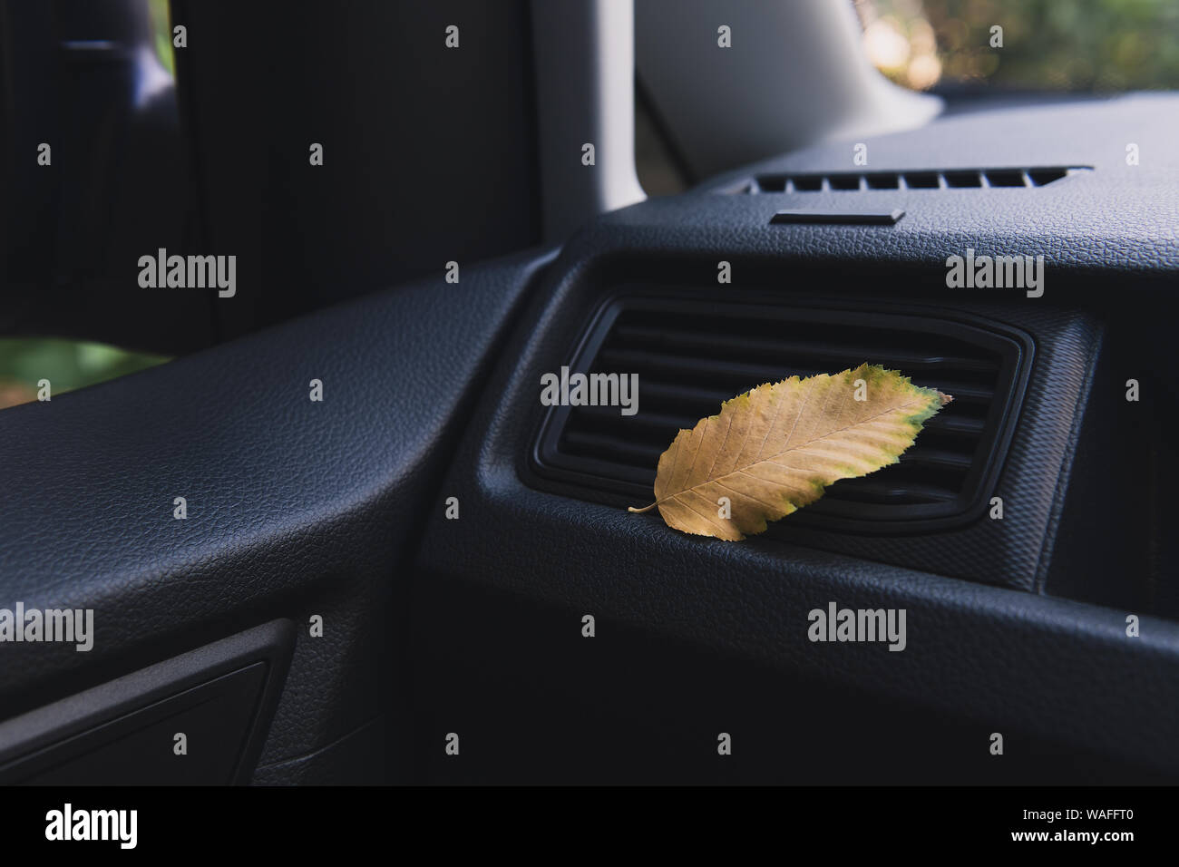 Une petite feuille d'or volé dans la voiture. Feuille jaune allongé sur le système de ventilation à l'intérieur de la voiture. Concept d'automne. Banque D'Images