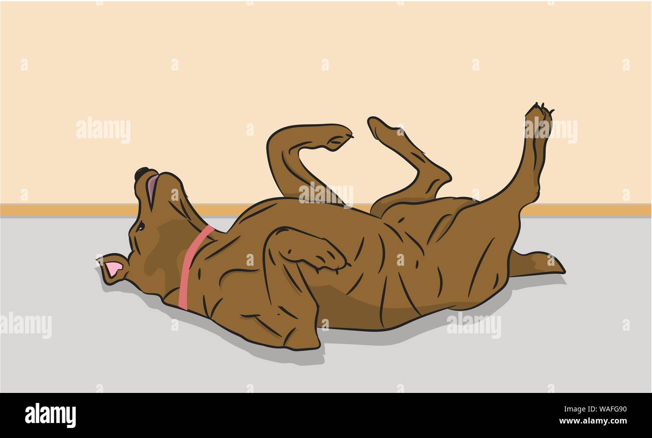 Les rayures de chien le dos à l'étage, chambre, vector Illustration de Vecteur