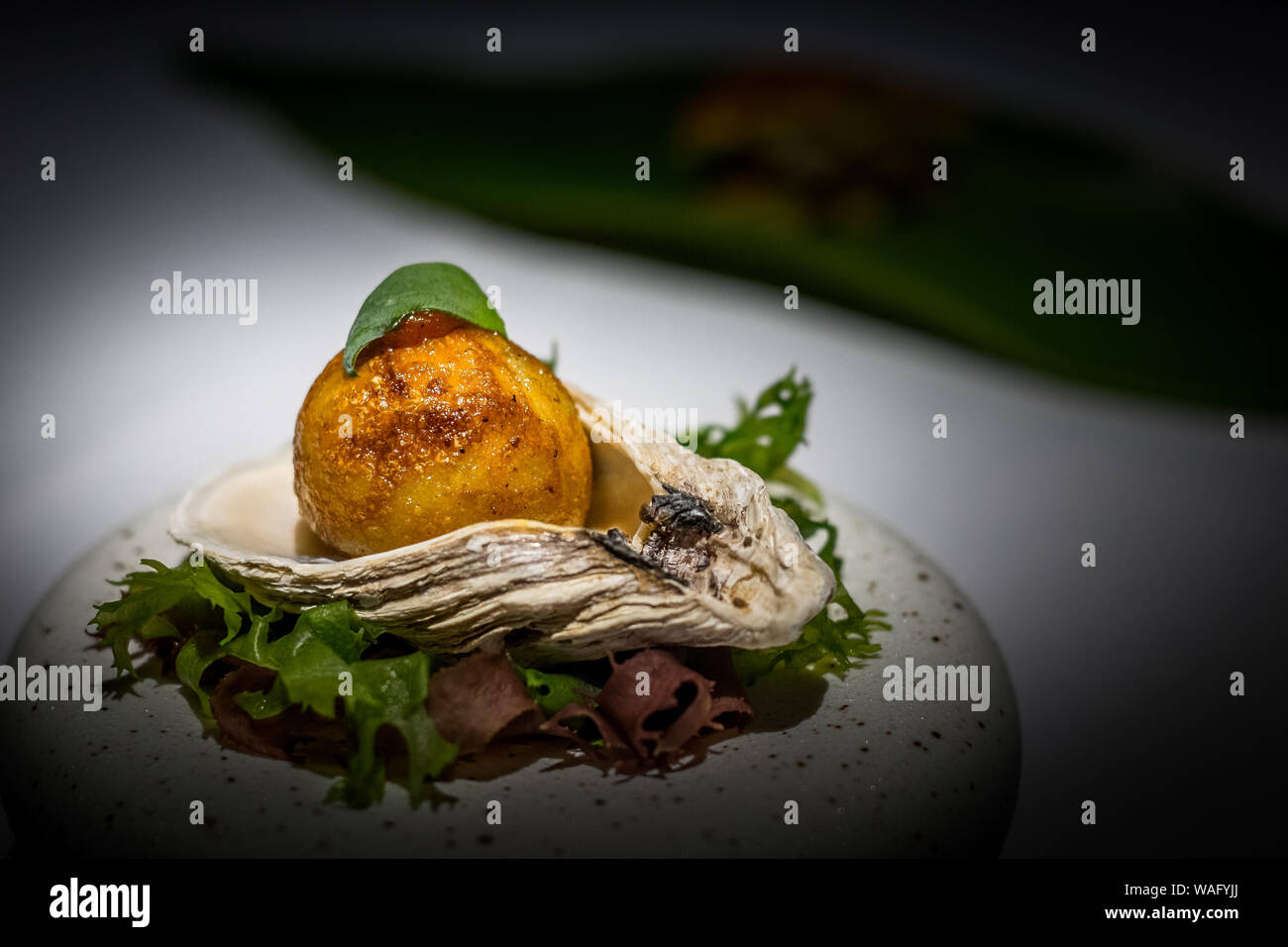 PULAU UBIN japonais "oyster" Takoyaki, sambal et oeufs floss servi sur une assiette de porcelaine gab Banque D'Images