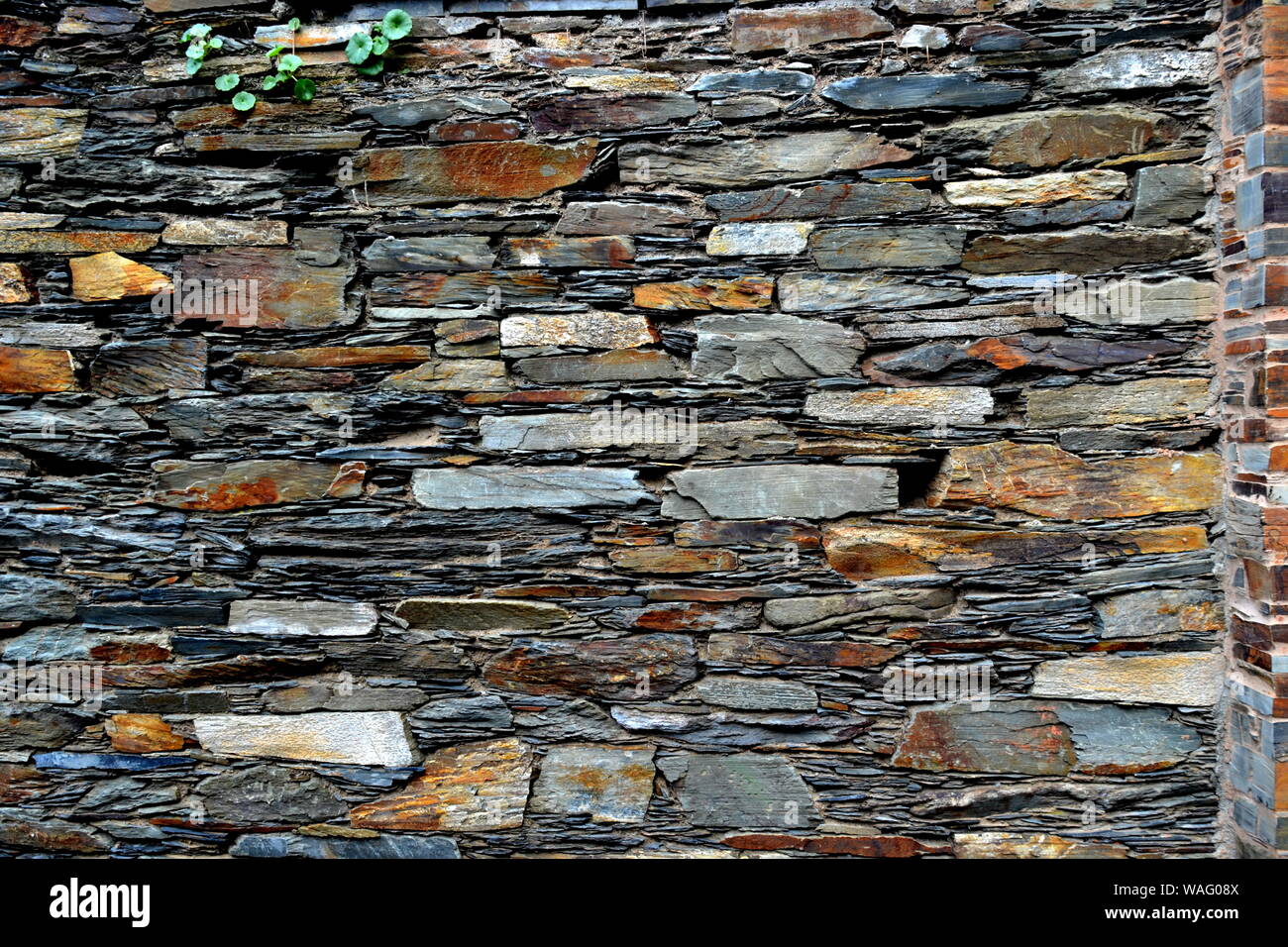 Close-up vue détaillée d'un vieux mur en pierre traditionnel construit à partir de schiste Piodão, faite de roches de schiste, pile l'un des villages de schiste du Portugal dans le Banque D'Images