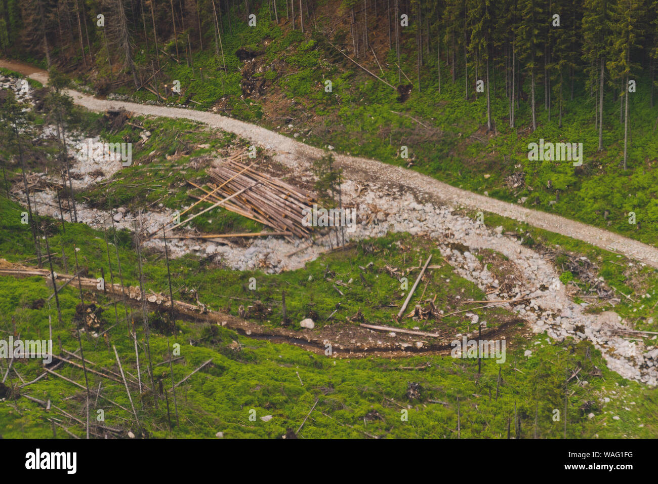 L'exploitation forestière illégale. Belle vue sur les montagnes Tatras Zakopane Kasprowy Wierch dans l'été. Voyages et tourisme concept. Banque D'Images