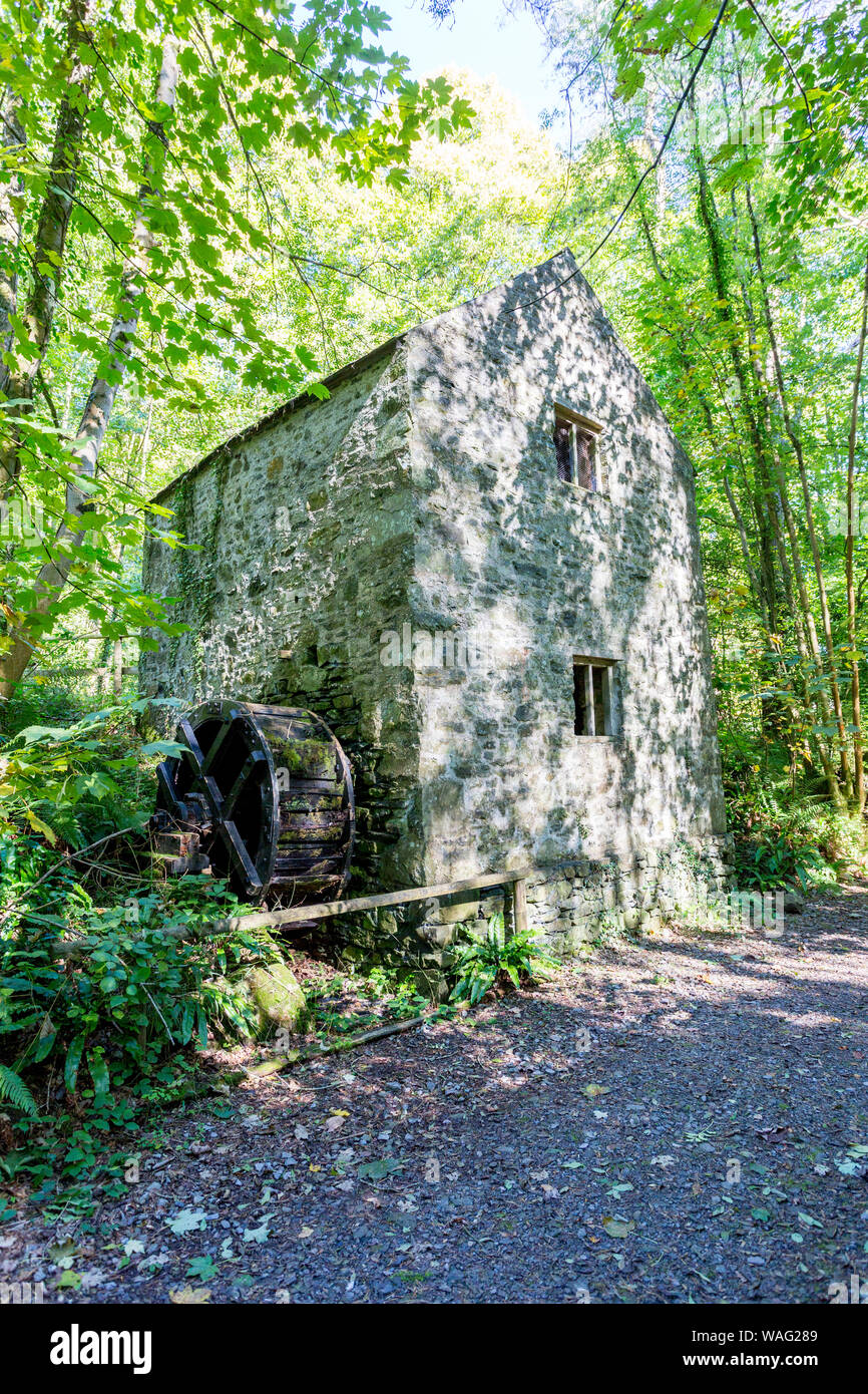 La c1850 L'ajonc Mill à St Fagans Musée National de l'histoire du pays de Galles, Cardiff, Pays de Galles, Royaume-Uni Banque D'Images