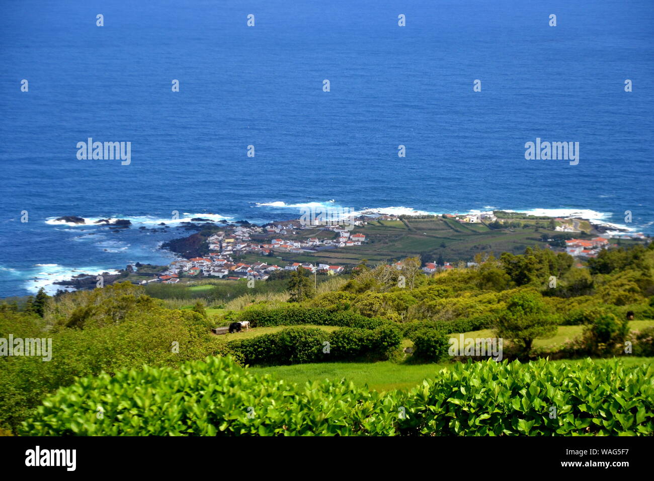 Ponta dos Mosteiros, Sao Miguel, Açores, Portugal Banque D'Images