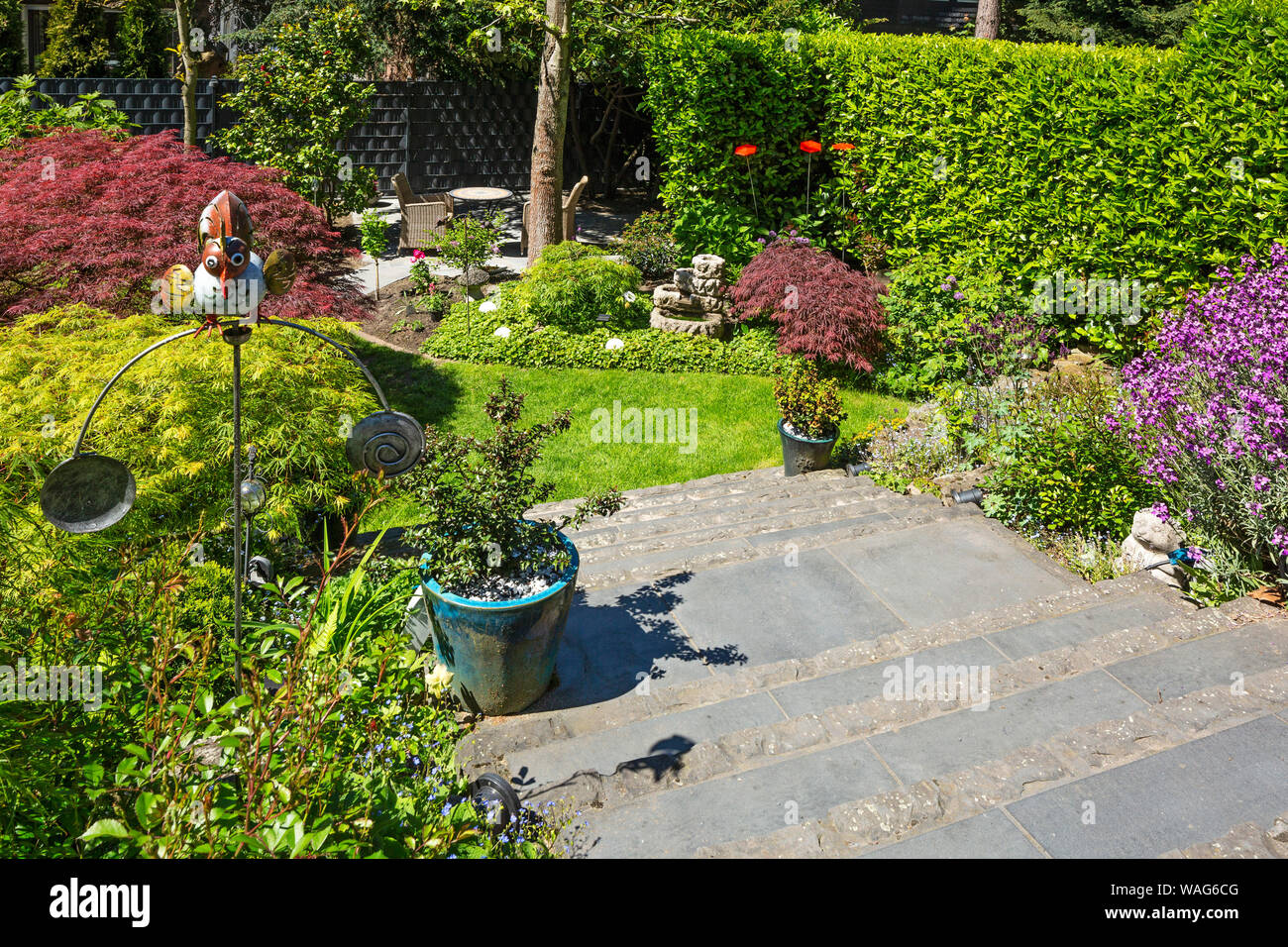 Ausgleicher, vue extérieure, l'enregistrement sur le terrain, escalier extérieur, arbre, tronc, patch, table de nuit, fleur, parterre de fleurs, jardin, cache-pot, botanique, bien, Banque D'Images