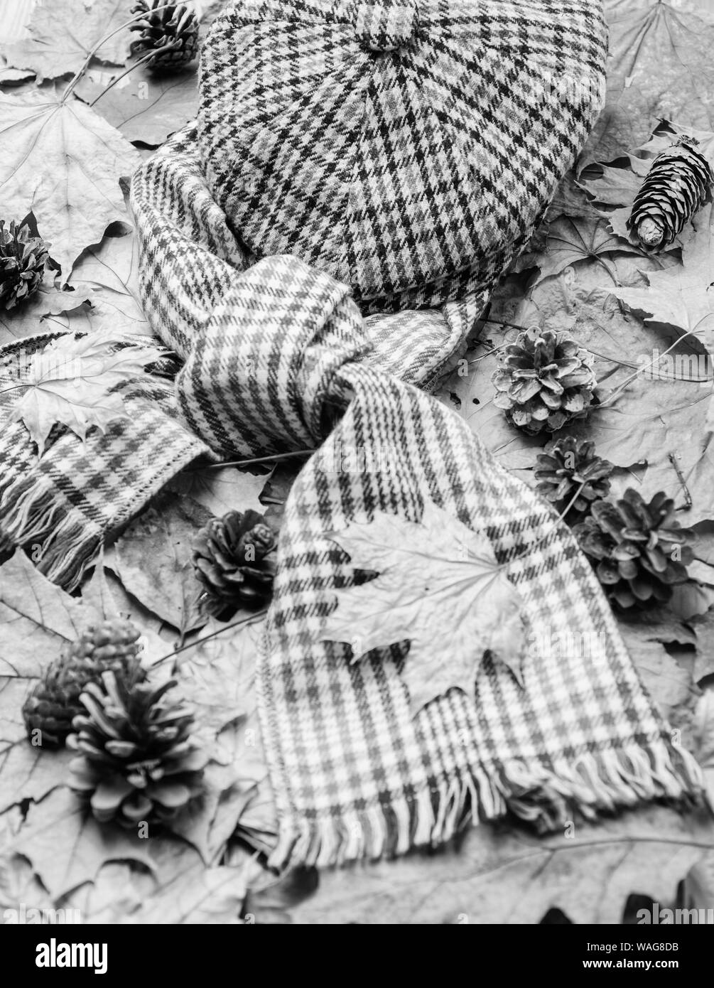 Feuilles d'oranger et foulard à damiers et képi. Bonnet et écharpe sur fond d'automne avec des feuilles d'érable et pommes de pins. L'automne dans l'air. Saison Automne accessoire de mode. Marche d'automne accessoire. Banque D'Images